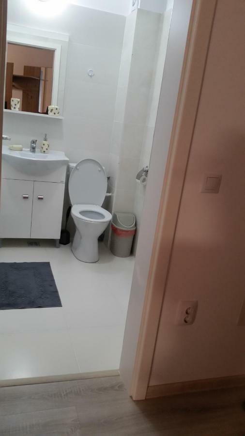 Kolonaki Domus Apartment Iasi Bagian luar foto