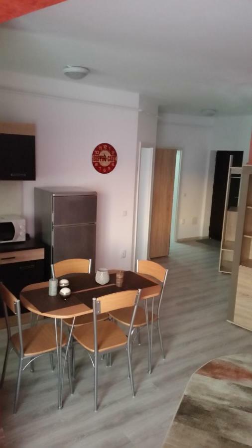 Kolonaki Domus Apartment Iasi Bagian luar foto