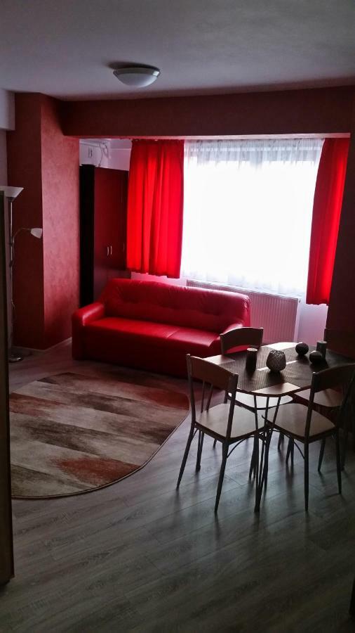 Kolonaki Domus Apartment Iasi Bagian luar foto