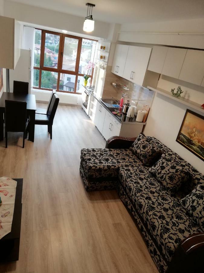 Kolonaki Domus Apartment Iasi Bagian luar foto
