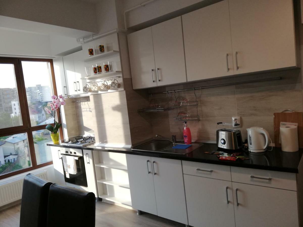Kolonaki Domus Apartment Iasi Bagian luar foto