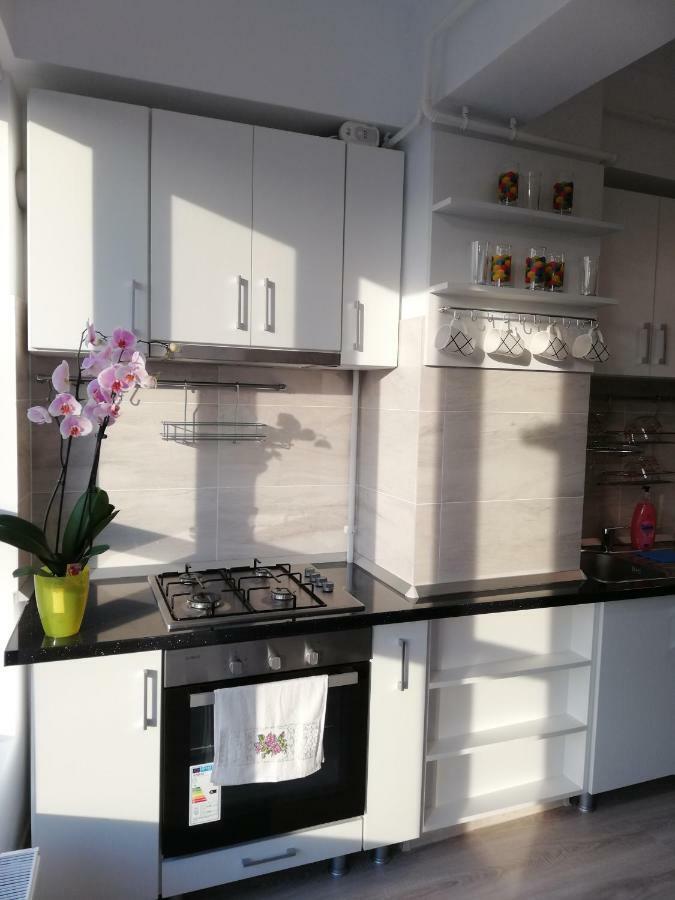 Kolonaki Domus Apartment Iasi Bagian luar foto