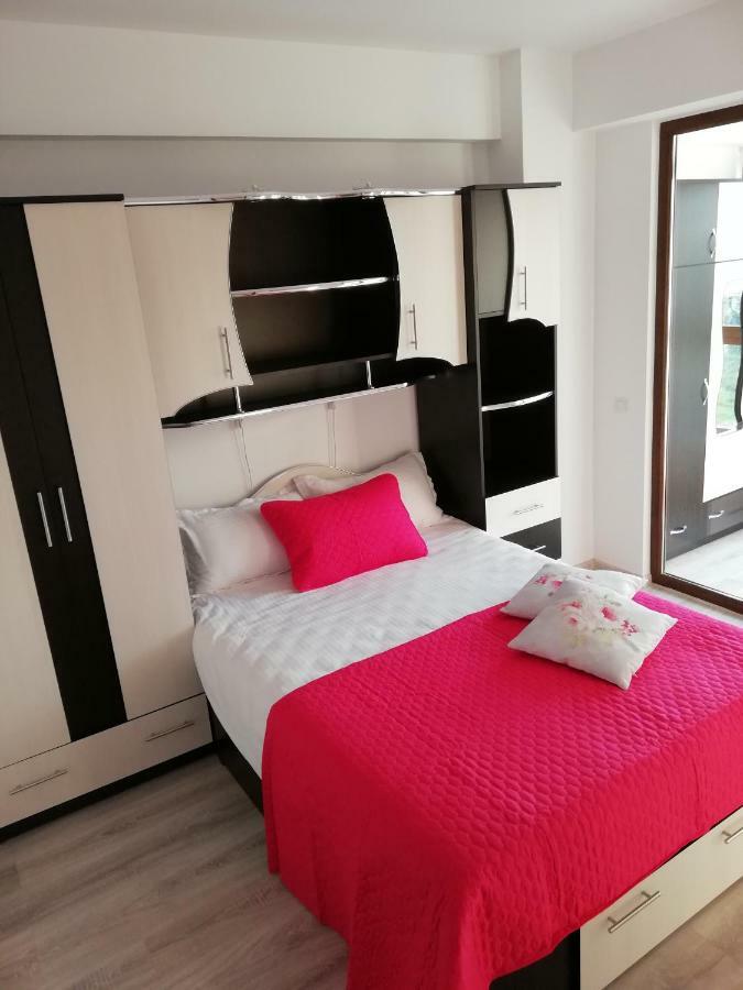 Kolonaki Domus Apartment Iasi Bagian luar foto