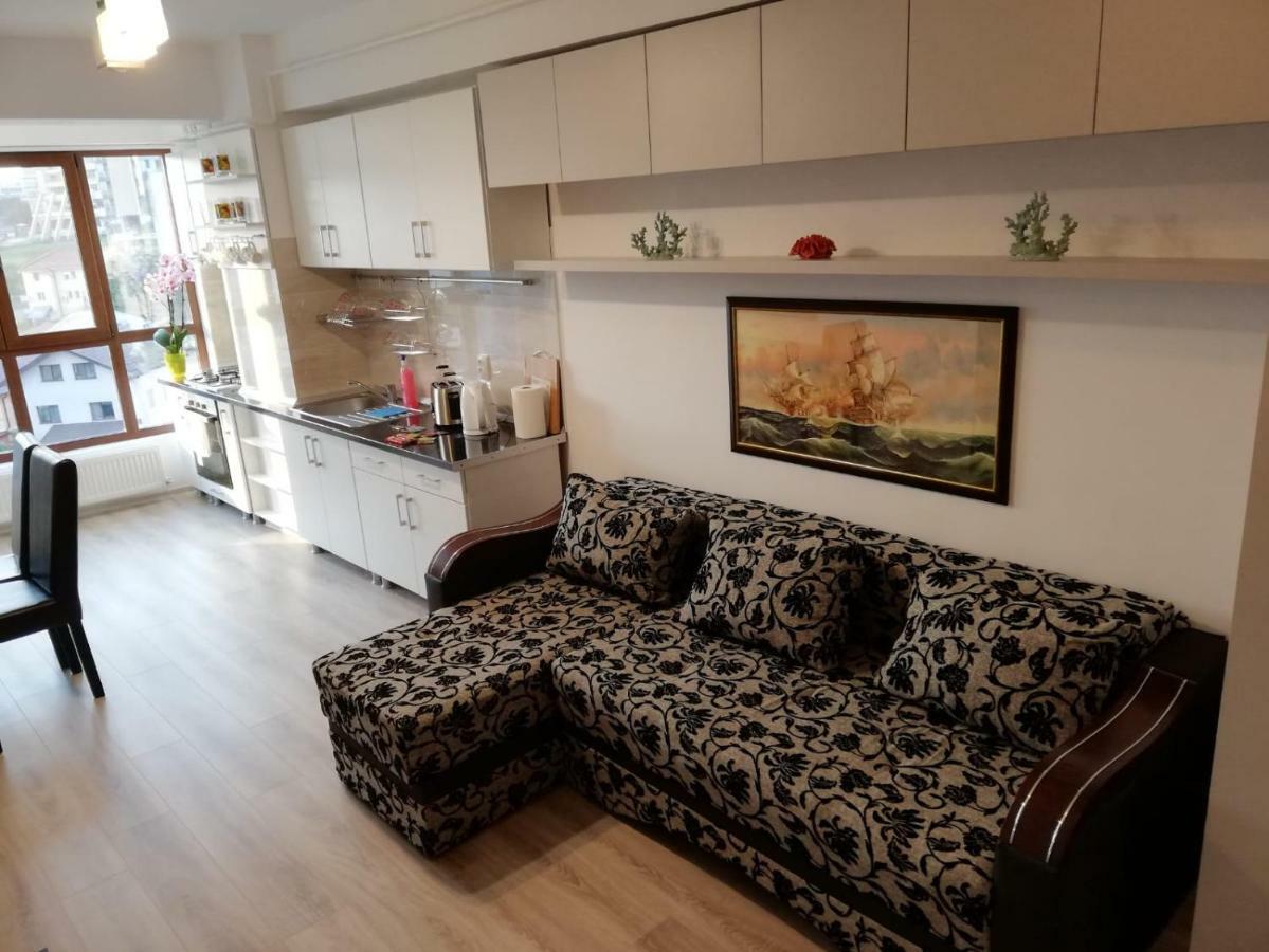 Kolonaki Domus Apartment Iasi Bagian luar foto