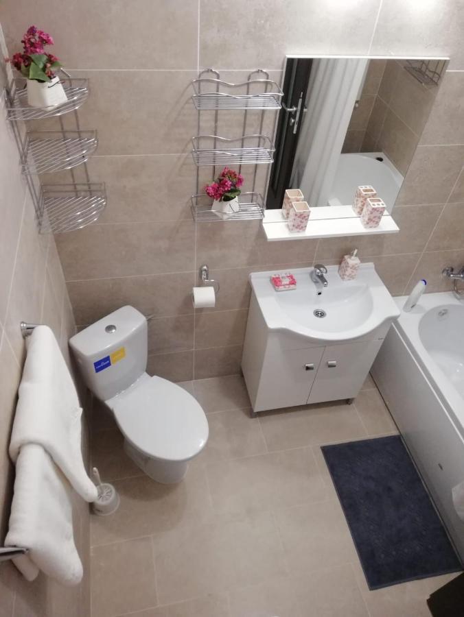 Kolonaki Domus Apartment Iasi Bagian luar foto