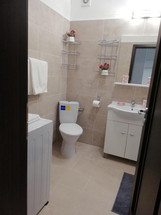 Kolonaki Domus Apartment Iasi Bagian luar foto